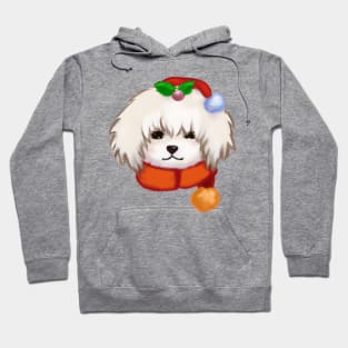 Cute Havanese Drawing Hoodie